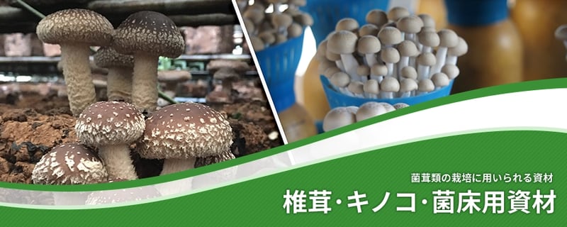椎茸･キノコ･菌床用資材