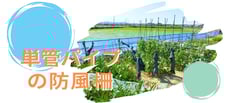【ブログのご紹介】