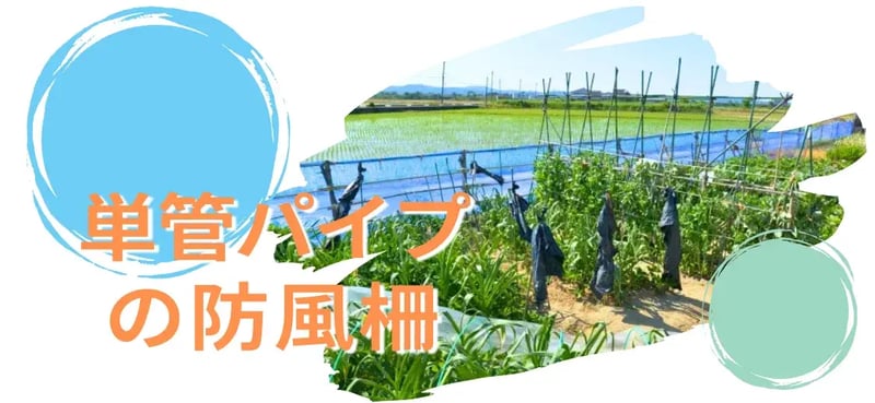 【ブログのご紹介】"単管パイプ"で作る"防風柵"！農業用ハウスの強風対策をご紹介。