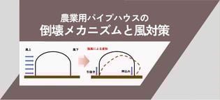 【ブログのご紹介】”農業用パイプハウス”の風対策は如何に？！倒壊のメカニズムを踏まえた3つの基本的なアプローチをご紹介。